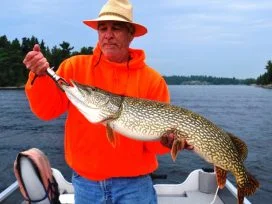 Jim Westfall 45in Pike