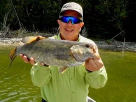 Judds 21in Bass