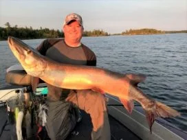 Matt Beulke 51in Muskie