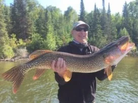 Paul Krajeski 43in Pike