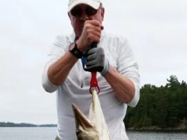 Tim Groark 53in Muskie