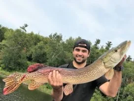 Tom Koop 42in Pike