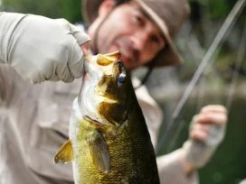 Beau Brashares 20in Bass