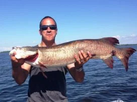 Bruno Azevedo 50in Muskie