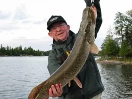 Dick Colella 43in Pike