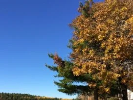 Crow Rock Fall