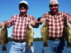 Hoffman's Bass