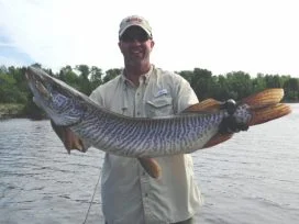 Jason Blanchard 44inc Tiger Muskie