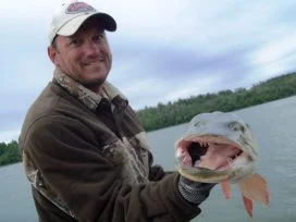 Jaws