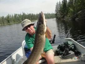Kent Welch 40in Pike