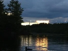 Loon
