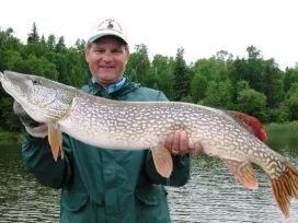 Mark Kreb 44in Pike