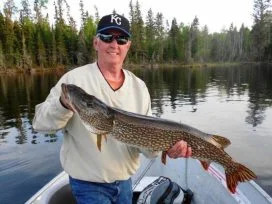 Mark Pealer 39in Pike