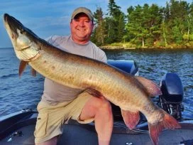 Matt Beulke 50.5in Muskie