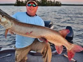 Matt Beulke 52in Muskie