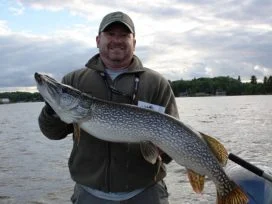 Matt Beulke 39in Pike