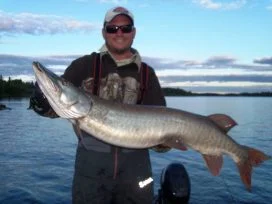 Matt Beulkes 45in Muskie