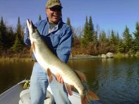 Murrays Muskie