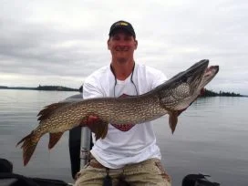 Paul Ackerman 43in Pike