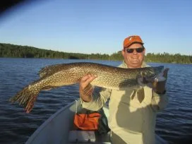 Pete Wildman 40.5in Pike