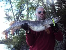 Ryan Oleary 39in Pike