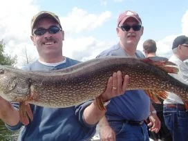 Shawn Norton 45in Pike