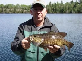Sid Taylor Nice Bass