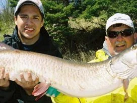 Silver Musky